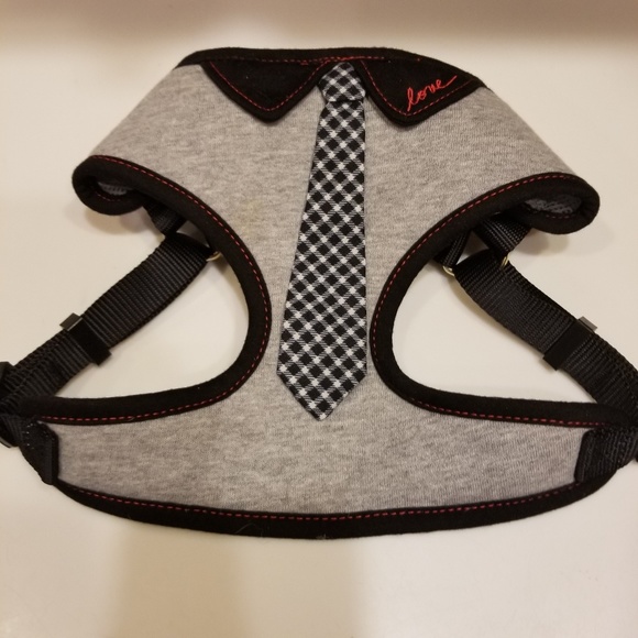 ellen degeneres dog harness